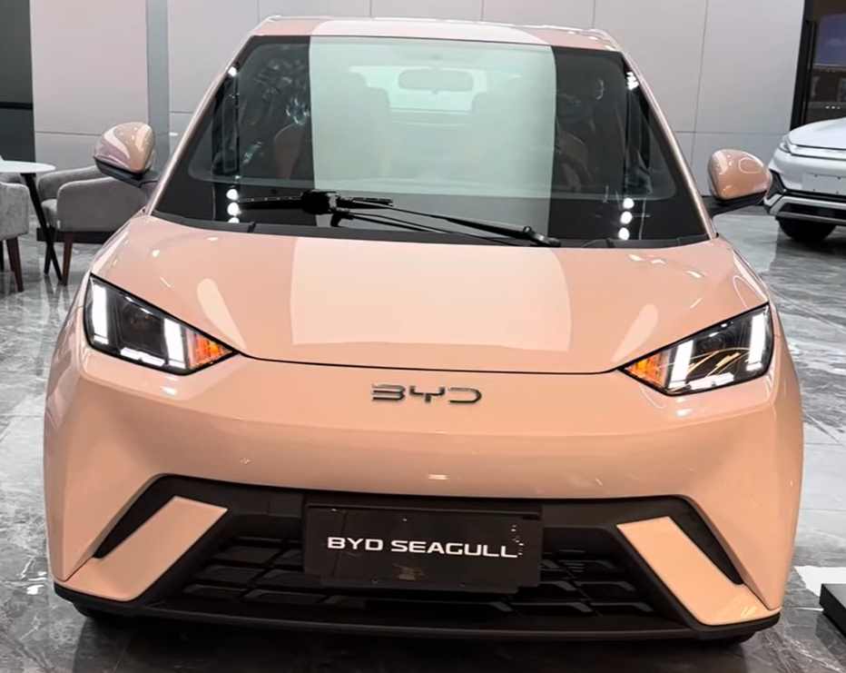 Byd Seagull